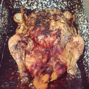 12204683_10207731348182270_229436541_n